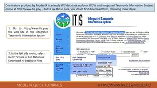 itis version 2|itis database.